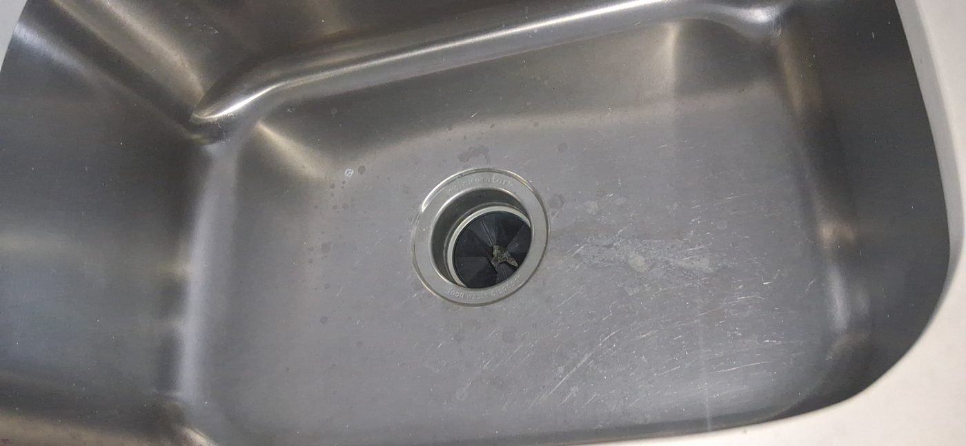 Kitchen sink cleaned and polished Stainless steel kitchen sink basin cleaned and polished around the drain